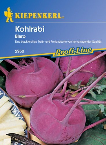 Kohlrabi Blaro, blau von Kiepenkerl