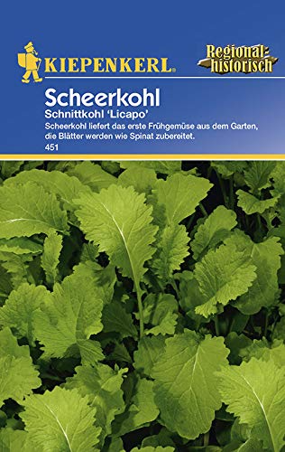 Kohlsamen - Scheerkohl Licapo von Kiepenkerl von Kiepenkerl