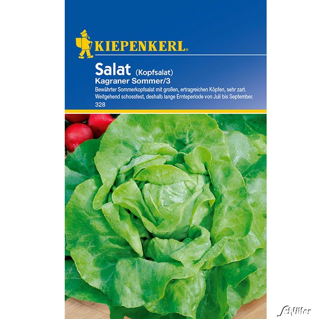 Kopfsalat &#039;Kagraner Sommer 2&#039; Lieferform: Portionssaatgut von Kiepenkerl