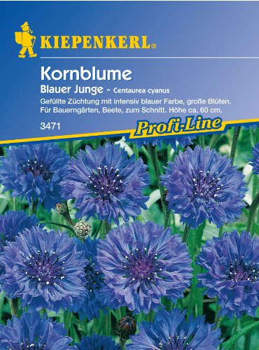 Sperli 3471 Blumensamen Kornblume blauer Junge, grün von Sperli