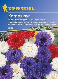 Kornblume 'Stars and Stripes', 1 Tüte Samen von Kiepenkerl