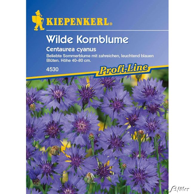 Kornblume Lieferform: Portionssaatgut von Kiepenkerl