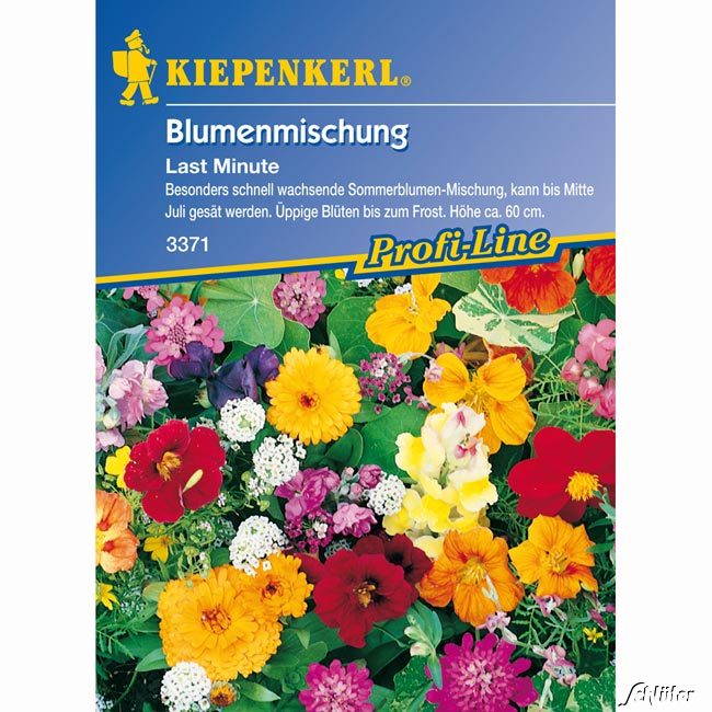 Last Minute - Mischung Lieferform: Portionssaatgut von Kiepenkerl