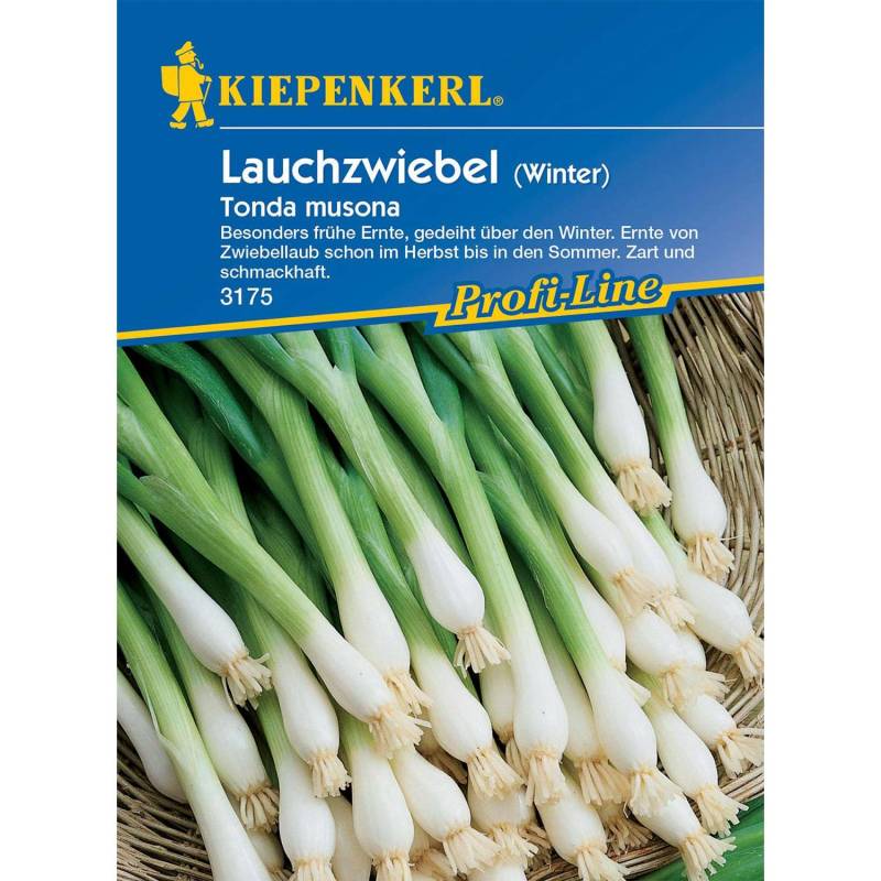 Lauchzwiebeln &#039;Tonda musona&#039; Lieferform: Portionssaatgut von Kiepenkerl