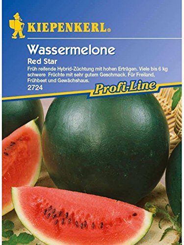 Melonen Wassermelone Red Star F1 von Kiepenkerl