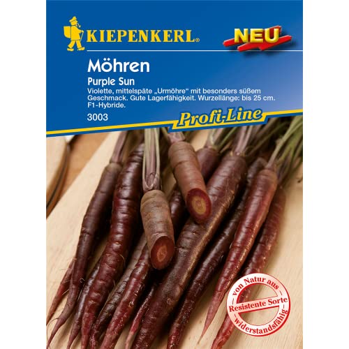 Möhre Purple Sun F1, violette mittelspäte"Urmöhre" mit besonders süßem Geschmack von Kiepenkerl