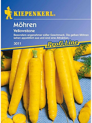Möhren Yellowstone gelb Möhren Yellowstone gelb von Kiepenkerl