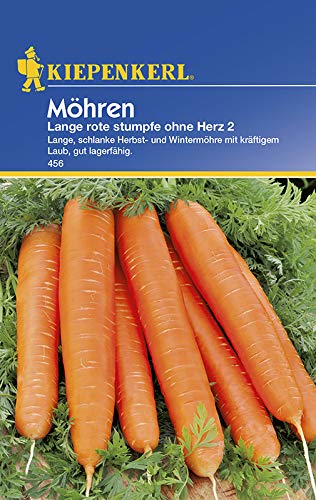 Kiepenkerl 456 Möhre Lange rote stumpfe ohne Herz 2 (Möhrensamen) von Kiepenkerl