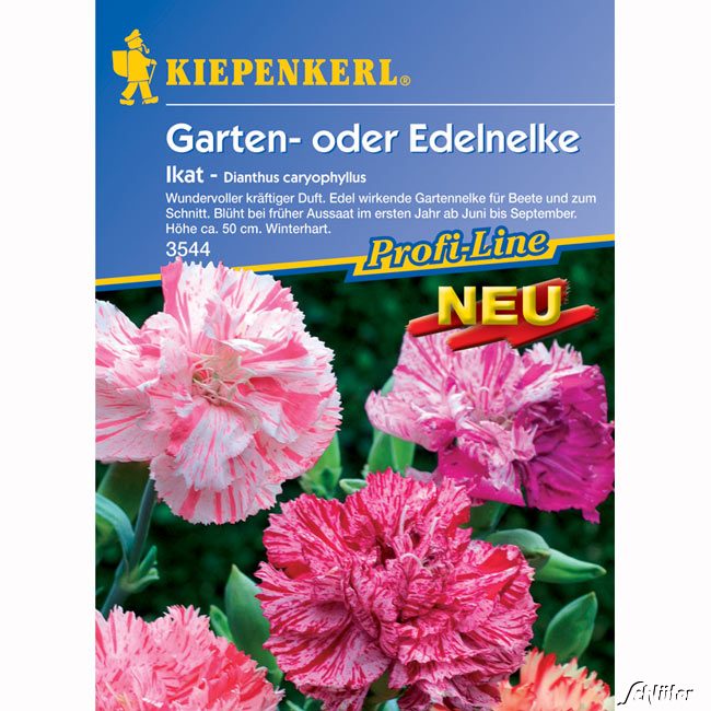Nelken &#039;Ikat&#039; Lieferform: Portionssaatgut von Kiepenkerl