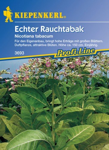 Echter Rauchtabak Nicotiana tabacum Echter Rauchtabak Nicotiana tabacum von Sperli