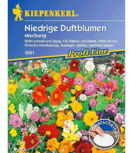 Kiepenkerl Niedriger Duftblumen-Mix Saatscheiben,5 Stück von Kiepenkerl