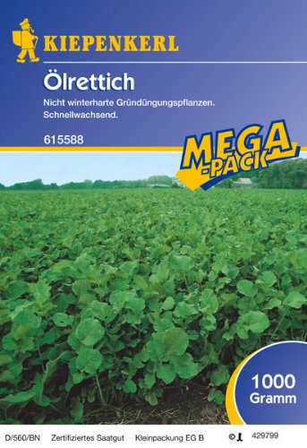 Ölrettich, 1 kg - 1 Foliensack/ 1 kg Ölrettich, 1 kg - 1 Foliensack/ 1 kg von Kiepenkerl