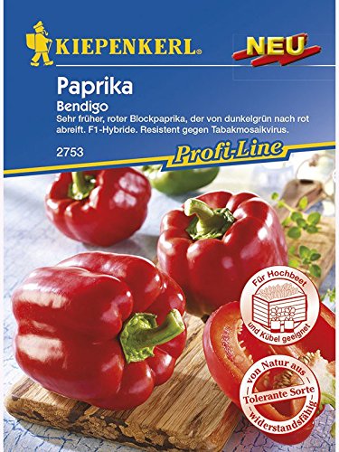 Paprika Bendigo | Paprikasamen von Kiepenkerl von Kiepenkerl