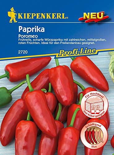 Paprika Poromeo von Kiepenkerl