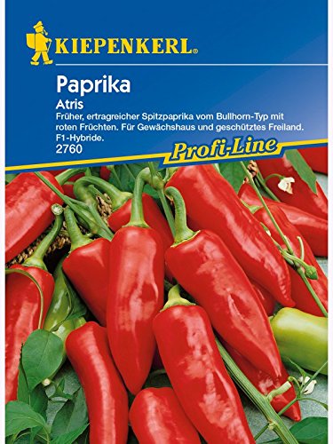 Paprika Spitzpaprika Atris von Kiepenkerl