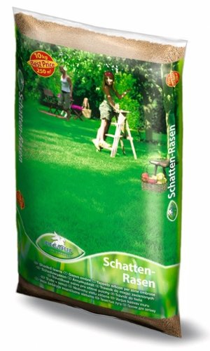 Pegasus Schattenrasen 10kg von Kiepenkerl