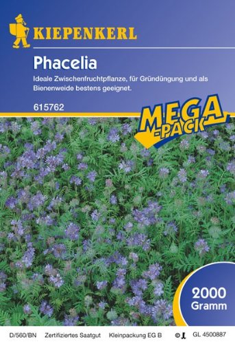 Phacelia 2 Kg von Kiepenkerl