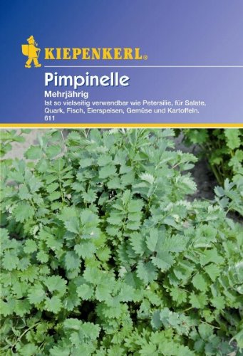 Pimpinelle mehrjährig von Kiepenkerl