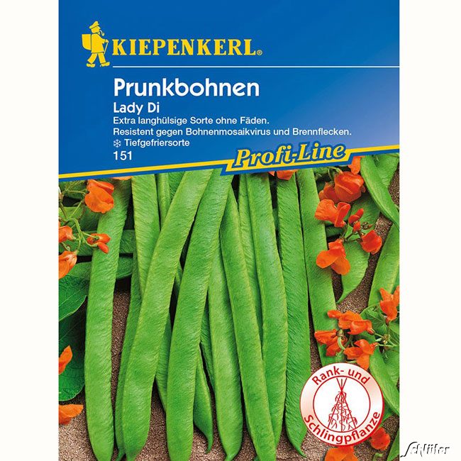 Prunkbohne &#039;Lady Di&#039; Lieferform: Portionssaatgut von Kiepenkerl