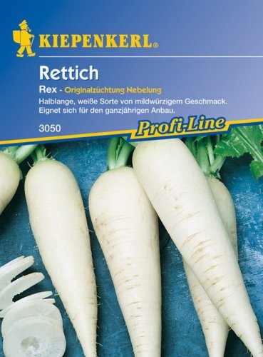 Rettich 'Rex' von Kiepenkerl