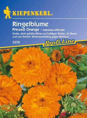 Ringelblume, 'Prinzeß Orange' von Kiepenkerl