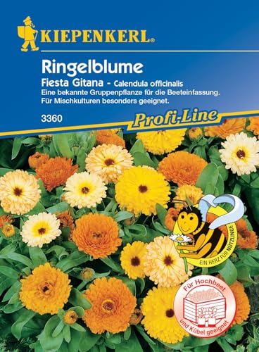 Kiepenkerl Profi-Line Ringelblumensamen Fiesta Gitana 3360 - Nahrungsquelle für Nützlinge, Bekannte Gruppenpflanze für Beeteinfassung, Ideal für Mischkulturen, Kräutersamen Kiepenkerl Profi-Line Ringelblumensamen Fiesta Gitana 3360 - Nahrungsquelle für Nützlinge, Bekannte Gruppenpflanze für Beeteinfassung, Ideal für Mischkulturen, Kräutersamen von Kiepenkerl