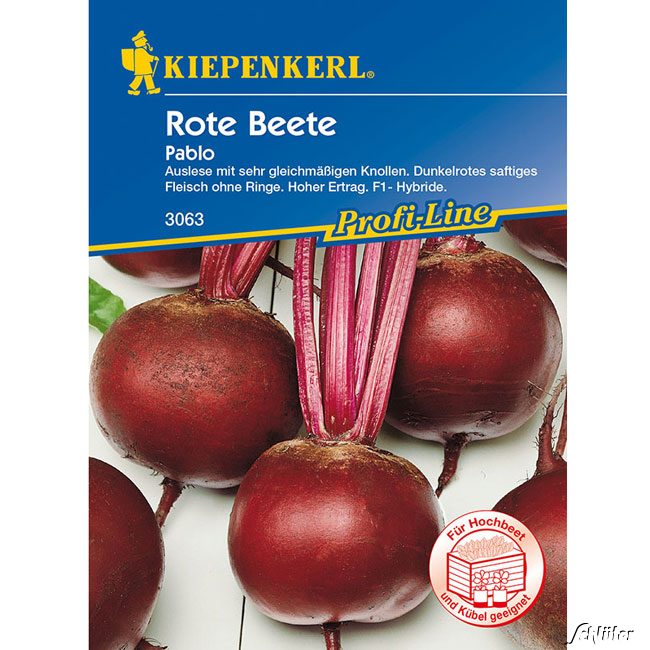 Rote Beete &#039;Pablo&#039; Powersaat Lieferform: Portionssaatgut von Kiepenkerl