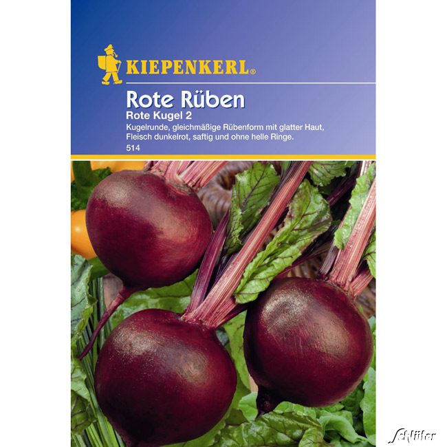 Rote Rüben &#039;Rote Kugel 2&#039; Portionssaatgut, für ca. 100 Pflanzen Lieferform: Portionssaatgut von Kiepenkerl