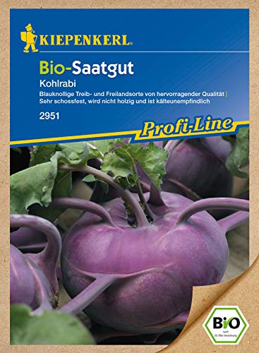 Saatgut Bio-Kohlrabi, blau von Kiepenkerl