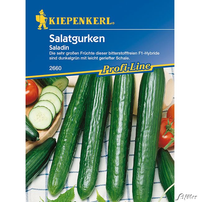 Salatgurke &#039;Saladin&#039; Lieferform: Portionssaatgut von Kiepenkerl