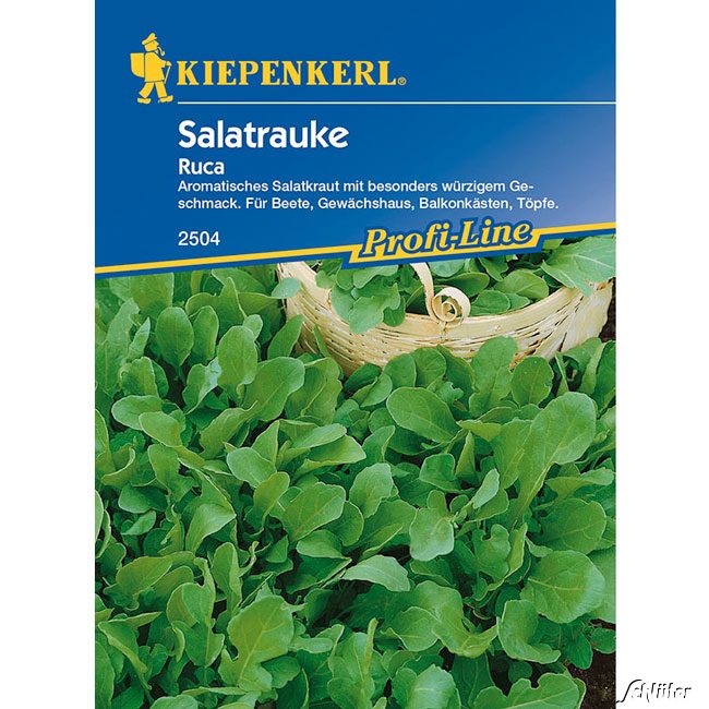 Salatrauke &#039;Ruca&#039; Saatband 1 Stück Lieferform: Saatband von Kiepenkerl