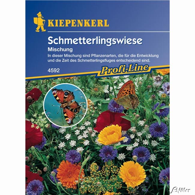 Schmetterlingswiese Lieferform: Portionssaatgut von Kiepenkerl