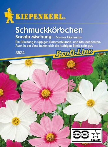 Schmuckkörbchen, 'Sonata', Mischung von Kiepenkerl