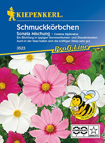 Schmuckkörbchen Cosmos Sonata Mischung, Blickfang in üppigen Sommerblumen- und Staudenbeeten Schmuckkörbchen Cosmos Sonata Mischung, Blickfang in üppigen Sommerblumen- und Staudenbeeten von Kiepenkerl