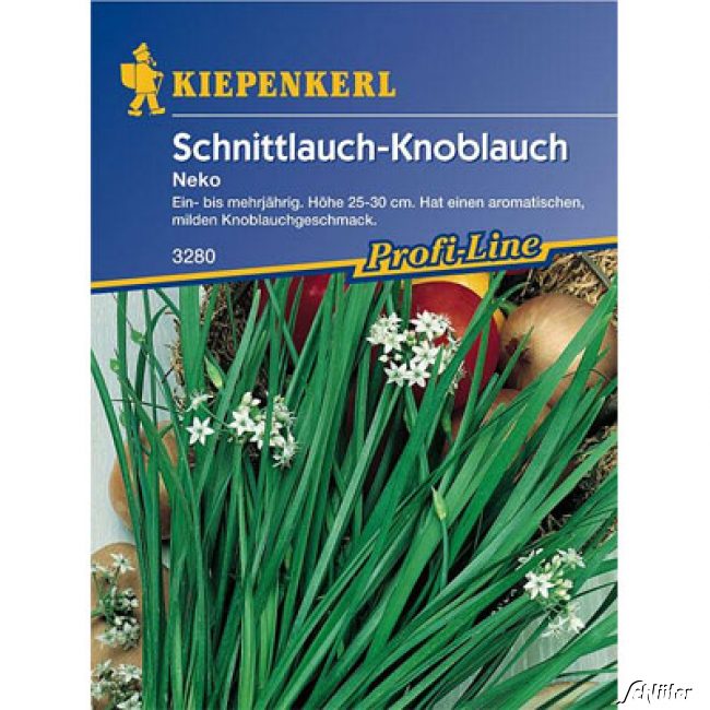 Schnitt-Knoblauch &#039;Neko&#039; Lieferform: Portionssaatgut von Kiepenkerl