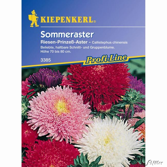 Sommeraster &#039;Prinzess-Mischung&#039; Lieferform: Portionssaatgut von Kiepenkerl