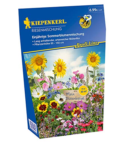 Sommerblumenmischung hohe Riesenmischung einjährig von Kiepenkerl