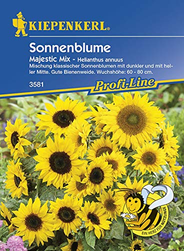 Sonnenblume 'Majestic Mix' von Kiepenkerl von Kiepenkerl