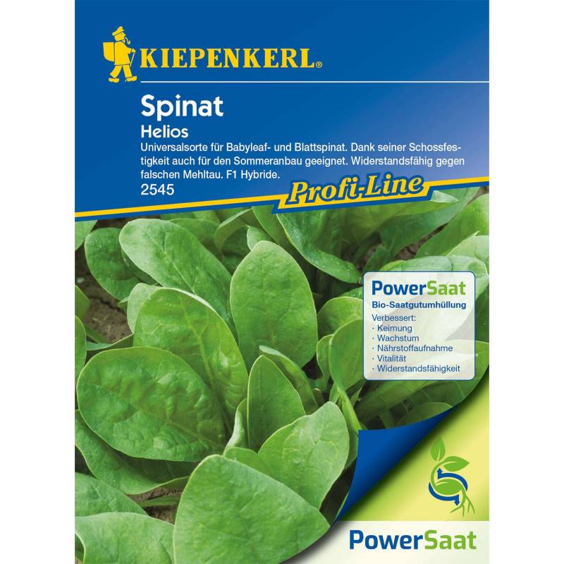 Spinat Helios&#039; - Powersaat von Kiepenkerl