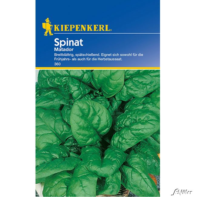Spinat &#039;Matador&#039; Lieferform: Portionssaatgut von Kiepenkerl