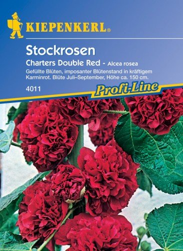 Stockrosen, 'Chaters Double Red' von Kiepenkerl