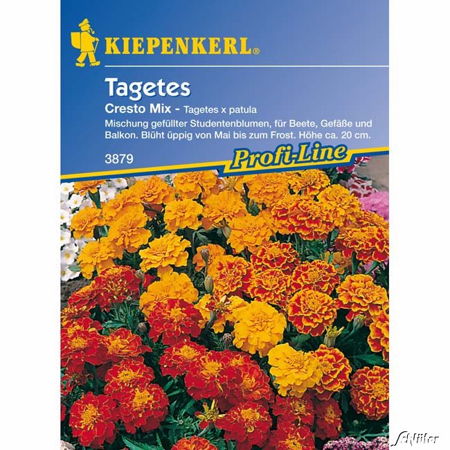 Tagetes &#039;Cresto Mix&#039; Lieferform: Portionssaatgut von Kiepenkerl