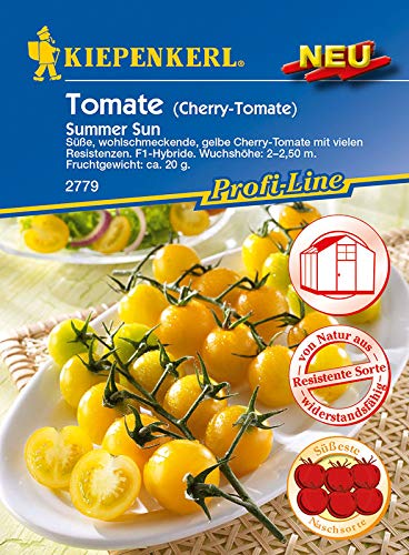 Tomaten Cherrytomate Summer Sun F1 von Kiepenkerl