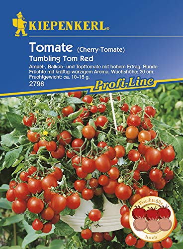 Tomatensamen - Tomate Tom Red von Kiepenkerl von Kiepenkerl