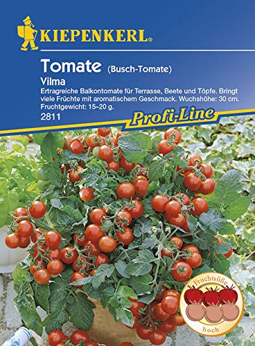 Tomatensamen - Tomate Vilma von Kiepenkerl von Kiepenkerl