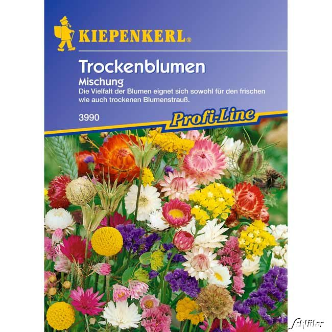 Trockenblumen-Mischung Lieferform: Portionssaatgut von Kiepenkerl