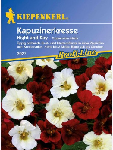 Tropaeolum minus Kapuzinerkresse Night&Day von Kiepenkerl