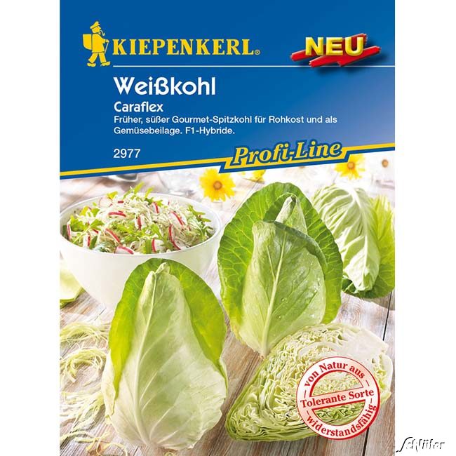 Weißkohl &#039;Caraflex&#039; Lieferform: Portionssaatgut von Kiepenkerl