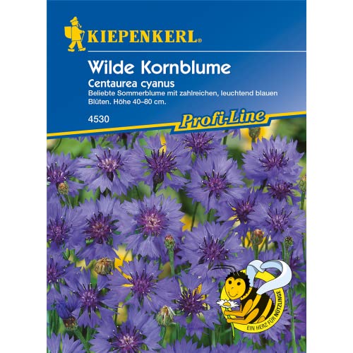 Wilde Kornblume von Kiepenkerl