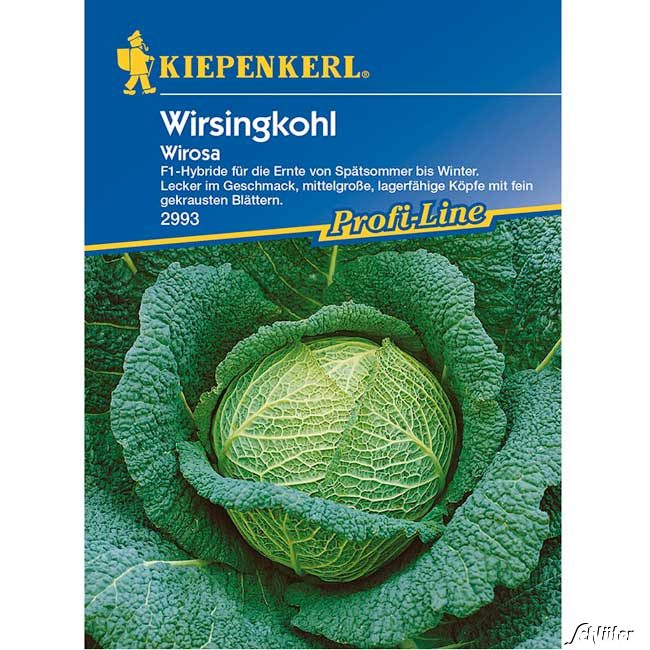 Wirsingkohl &#039;Wirosa&#039; Lieferform: Portionssaatgut von Kiepenkerl